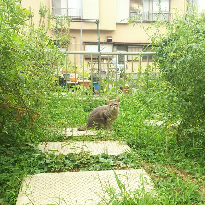 9f509b43 cb96 4fc6 b7a1 e71f3bc18ed1 1535787179168