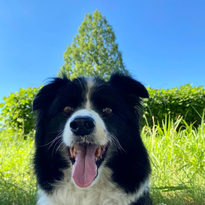 9f50f465 d6b2 4863 a455 4741debbbe73 1628122224036