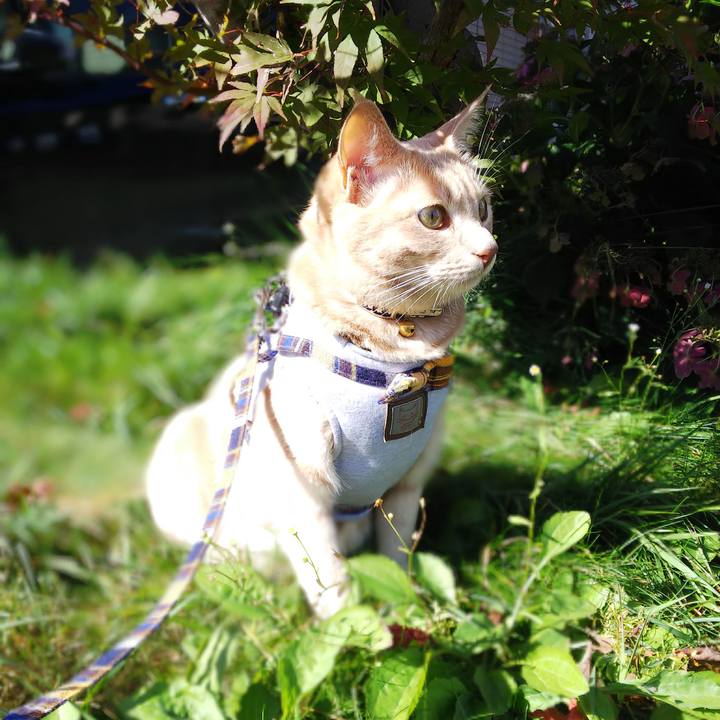 9f514576 01e5 4456 8c84 b37aa5574d62 1571535902918