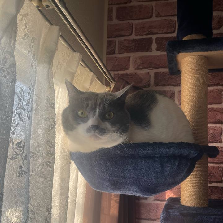 9f515723 87b7 48d7 9e82 78b393ae5c36 1707863815246