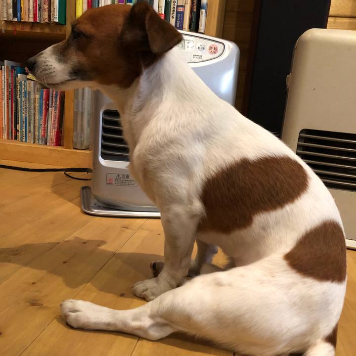 9f515c55 76ca 4556 999b 1ca583227e7a 1513518744604