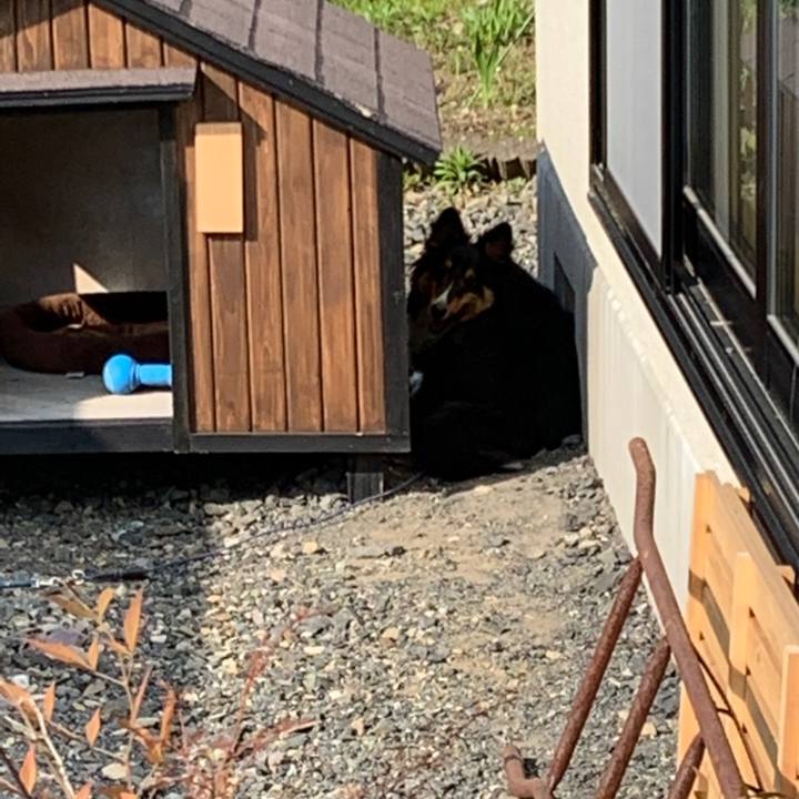 9f515e60 d890 4ec7 8531 109f83ad8d1e 1558650298577