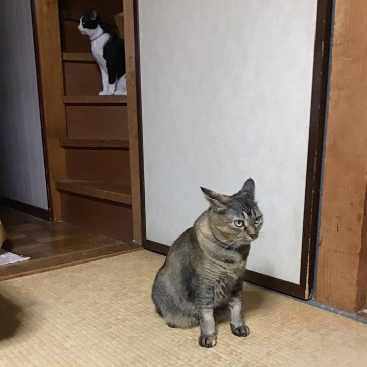 9f515f29 a7c6 4b3c befa 4d448ad24f37 1760260525264