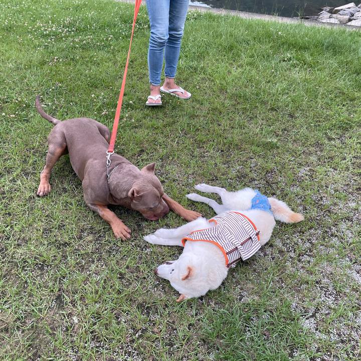 9f515f8d 86d9 450c a5eb 965171f5d6a6 1657205903169