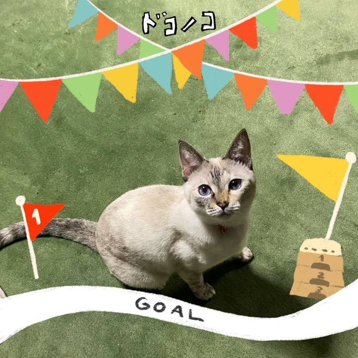 9f51a3b2 2135 467b bf98 7845d0db839b 1730280310826