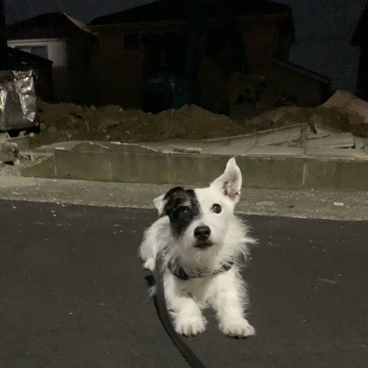 9f51e896 1d85 453d a50f 62ee5d5ec6ef 1754662087835