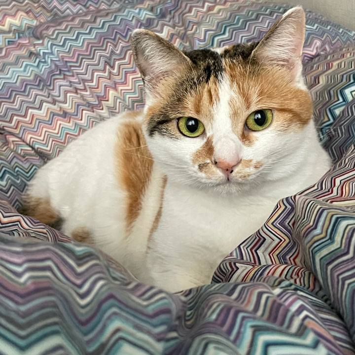 9f51fa4f 442b 454b 9304 1ae57a717ec7 1651102489144