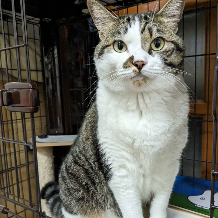 9f520f81 4af8 4d9a b710 8bc84d26921b 1691486031997