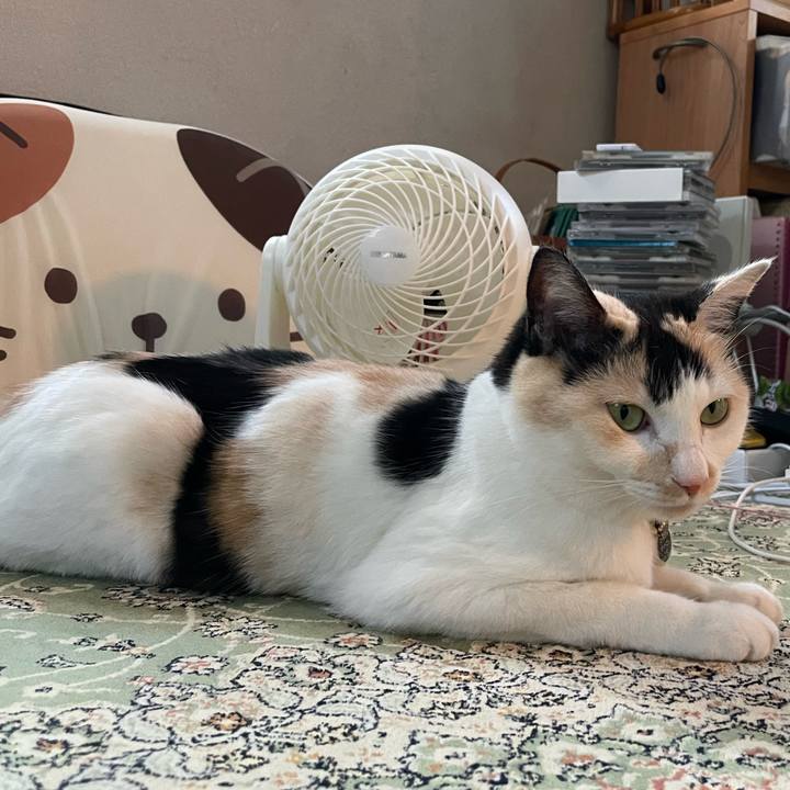 9f526a27 cec5 42f5 9d0d beb26c55bda9 1752396884753