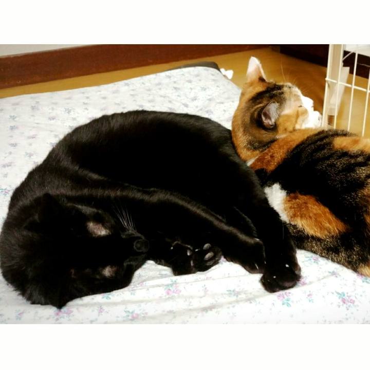 9f526b09 5de9 4212 8a70 0afa30219b31 1514207792714