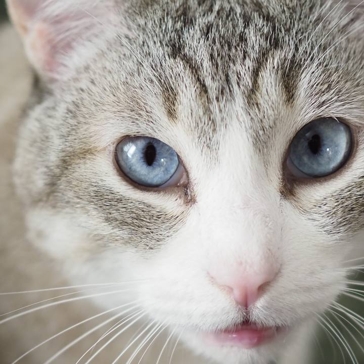 9f527b5c fc5c 405c a3f1 5b38a70179c3 1641821400588