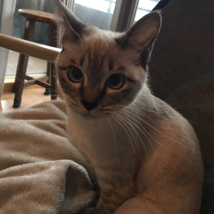 9f527e2c 8de3 45c1 ba07 4ed70b47b26e 1544930438173