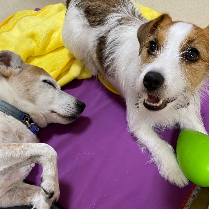 9f5290e6 fc1c 4146 8491 ca5c5e6c74bb 1657025884873