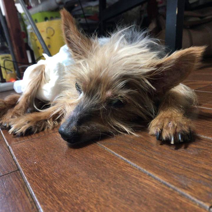 9f52d00b 521a 4f10 9f05 3ecff20680d6 1533103505716