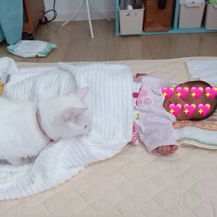 9f52e9a3 9f2a 4bf0 ad5d b75eaa62d7f0 1627699233242