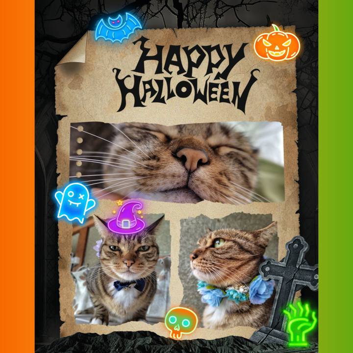 9f53841a cac6 4af2 87aa 54246999028e 1761874985622