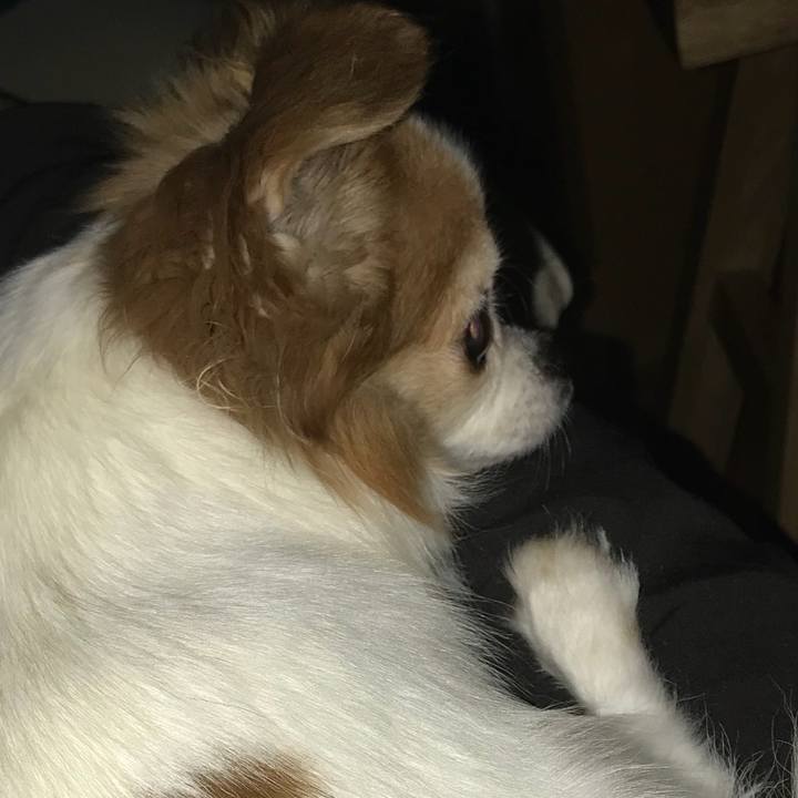 9f5394f9 4b01 4217 8dfc 727ed39d7fdd 1528495199600