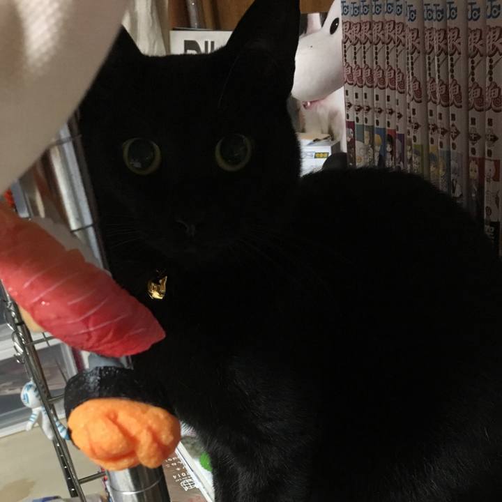 9f5398ce 0c24 4637 8cc8 15c9d6f771bb 1509287930884