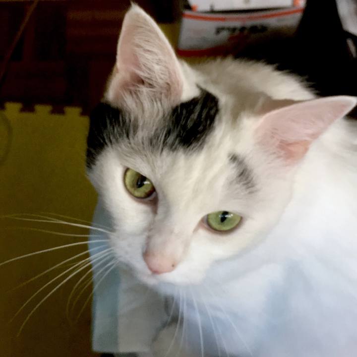 9f53b1b2 ca76 46da a323 8ba4c2282651 1570606159087