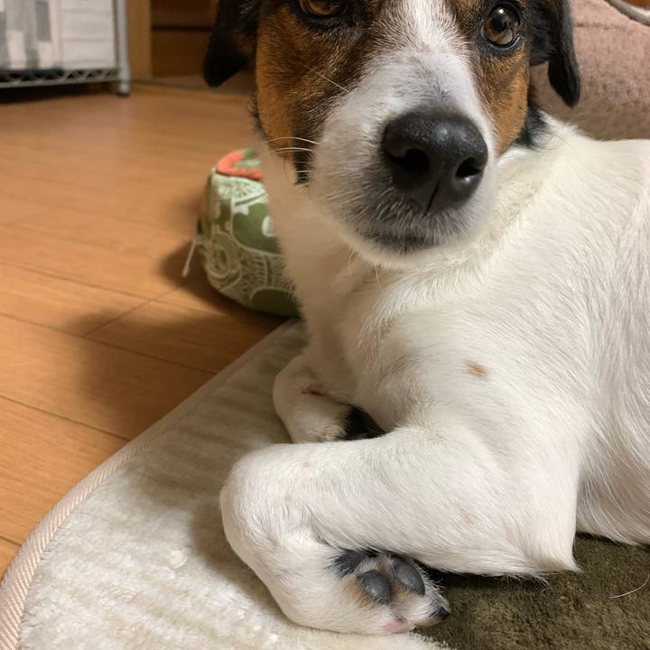 9f53e0e2 9c2b 442f b127 f4647142c3a3 1588419597684