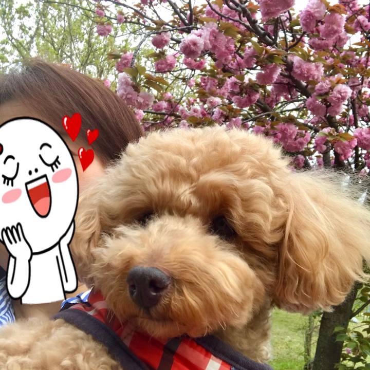 9f53e4fc 9a79 4641 8d62 c45af85d2c68 1555685954829