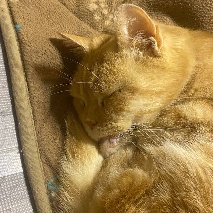 9f53e578 03dc 46da b77e f1992eaa6b45 1611106313986