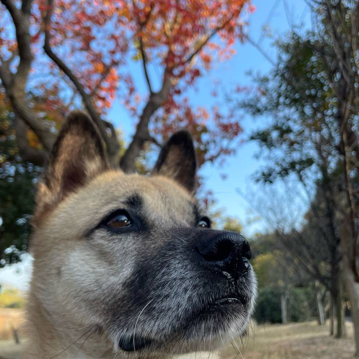 9f53fa51 311e 4681 94c4 e04971f79688 1668171906643