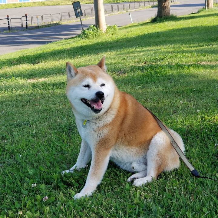 9f53fc6c d21b 4afd 8bbf 9a0171bff8e1 1653725715732