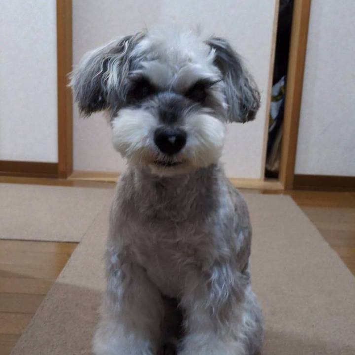 9f545652 0b85 419c a662 08f27f9dde26 1763896864491