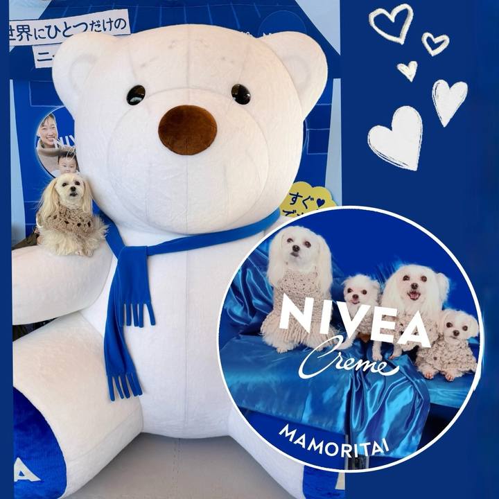 9f5485dd 2e42 425c a55f 03c14bcd98bf 1762756029508