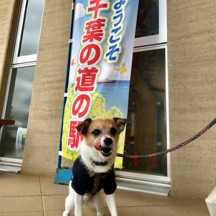 9f5506b8 4965 4f6b ab6d c4a6cb1c3fb4 1563171606396