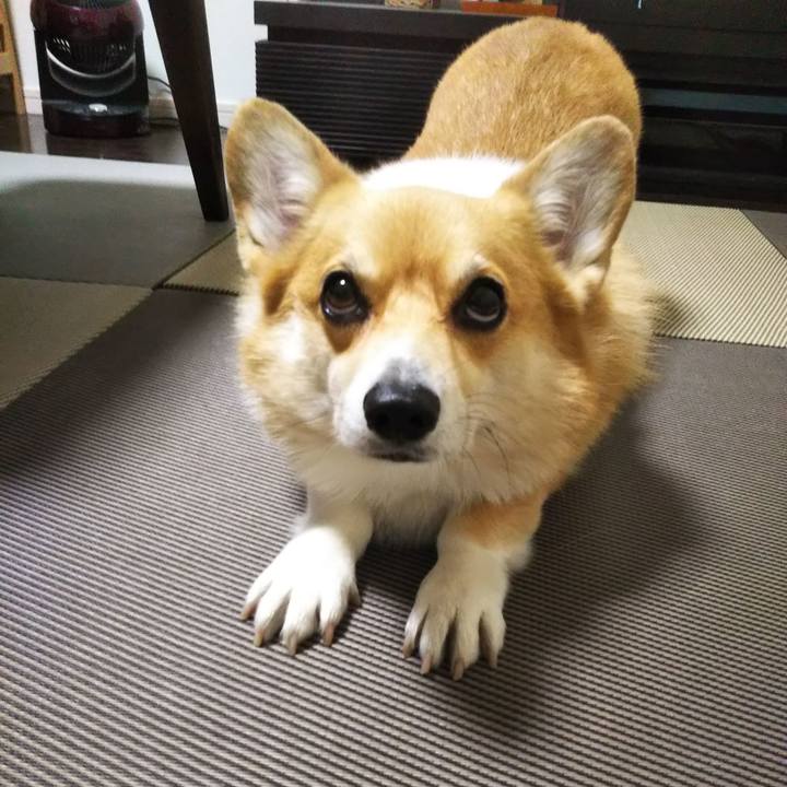 9f554519 9870 4fe4 ad02 e7774e57f154 1569914252410