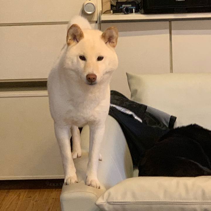 9f555039 9c2a 480a a23e 99acdeba1291 1550960532103