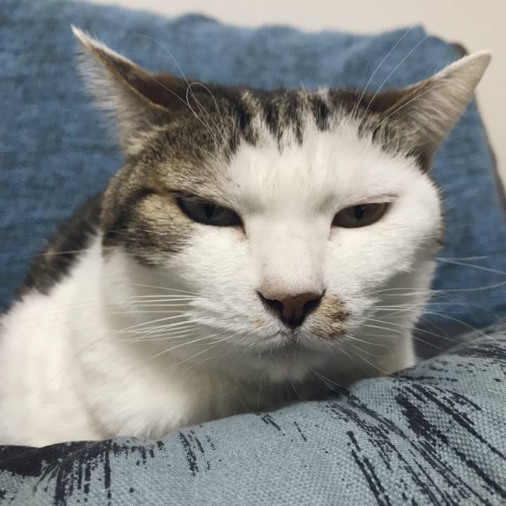 9f557268 f8e7 4645 8b9b d0622f8eb4f1 1553739839697