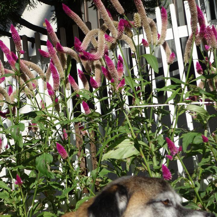 9f55b3d6 a4ba 40ea 9d5b bc436f80d305 1570234889969