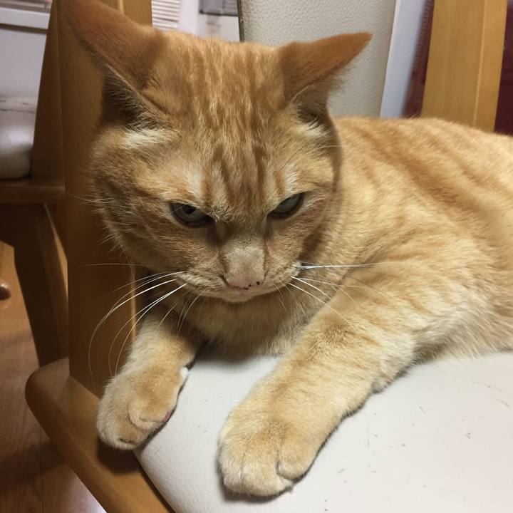 9f55b65e f6d0 4d01 bcbe dcbf493a3fe6 1556966716557