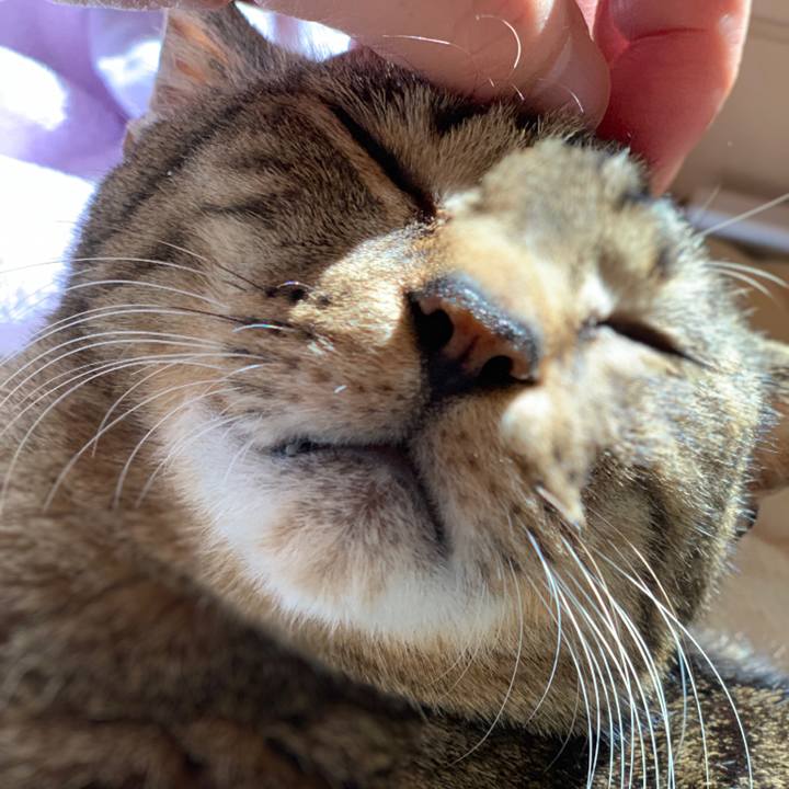 9f55b9ea 89a8 48ab 9fb4 7b9891f80785 1546560674195