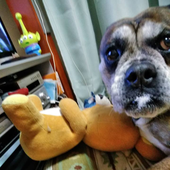 9f55bbcb c374 436e b2ef e3777d91a272 1519691689135