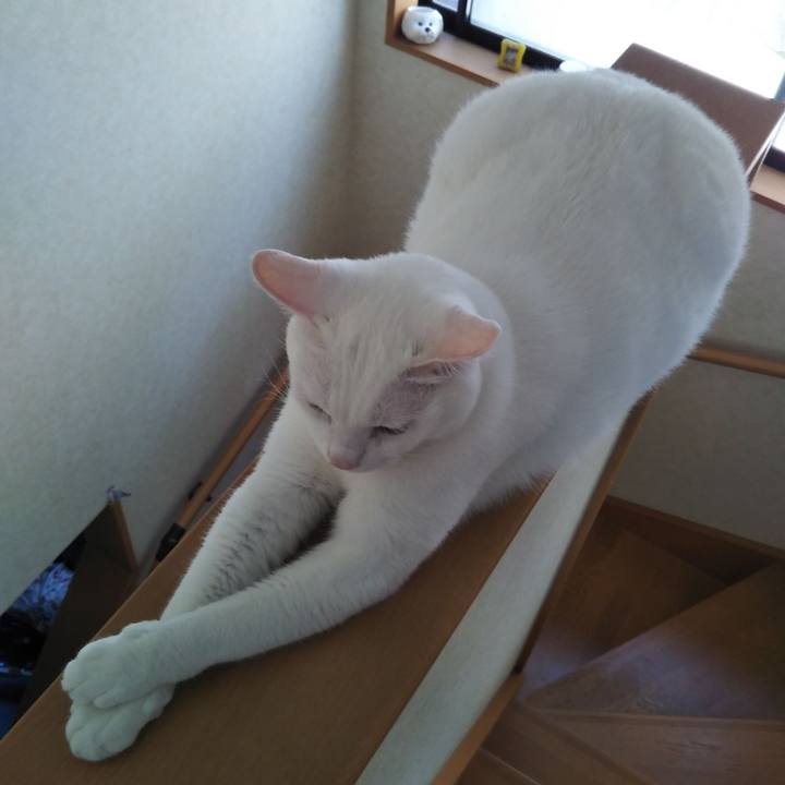 9f55c81b 0ee8 4725 a4ce 6470b35c8016 1568854678781