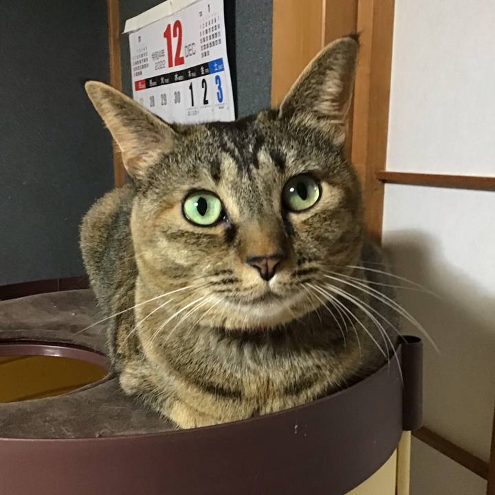 9f560617 5429 4c06 a028 2d277daa242c 1670762171517