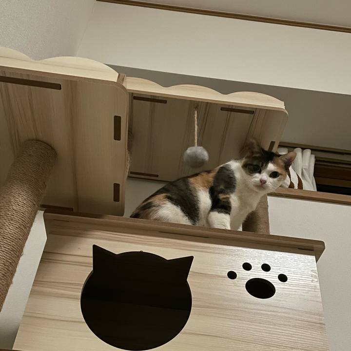 9f5609e7 18fd 45c0 8254 9f1c62d1dfb0 1667337957346