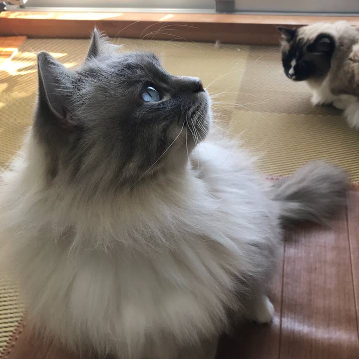 9f560cbc fda1 4c1d 8a38 1a9d58552a63 1520664951092