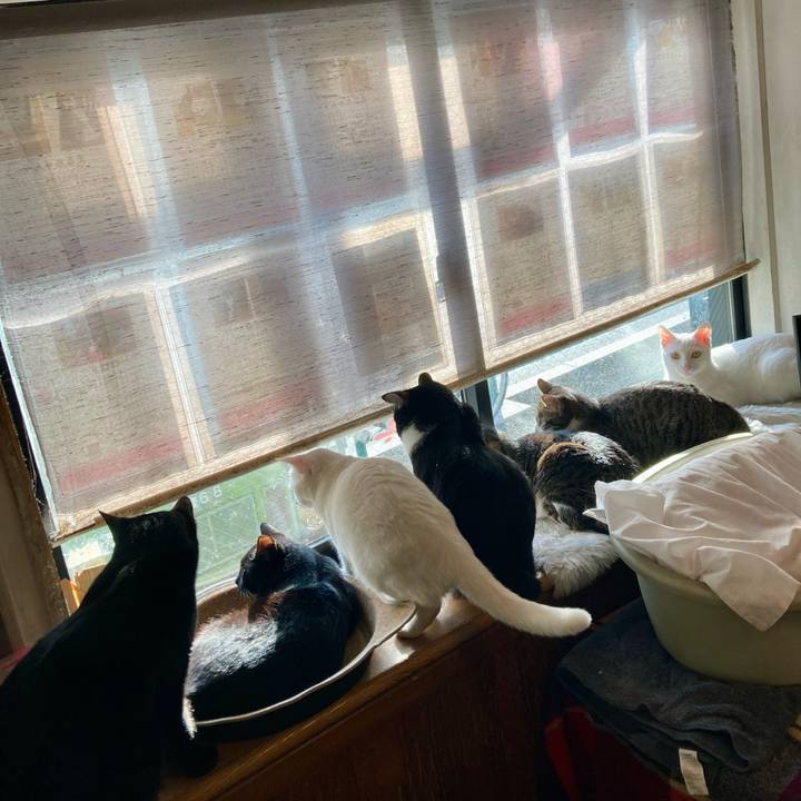 9f563ed7 78ea 44be 9bd7 26a7425ca939 1705104607995