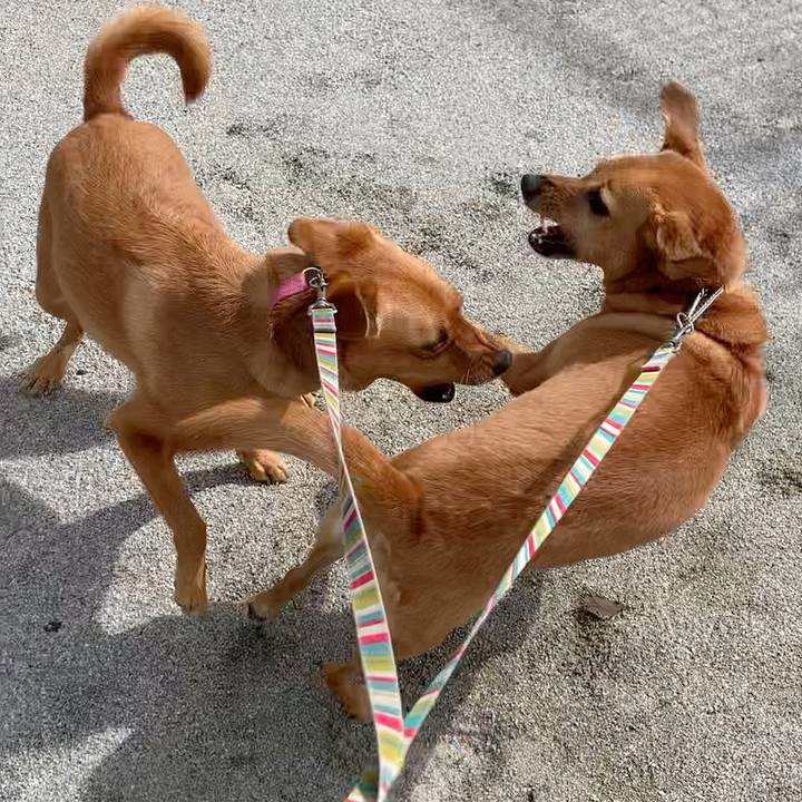 9f56bfbc ae1b 42aa 945e 9f77cb547ac1 1571619006646