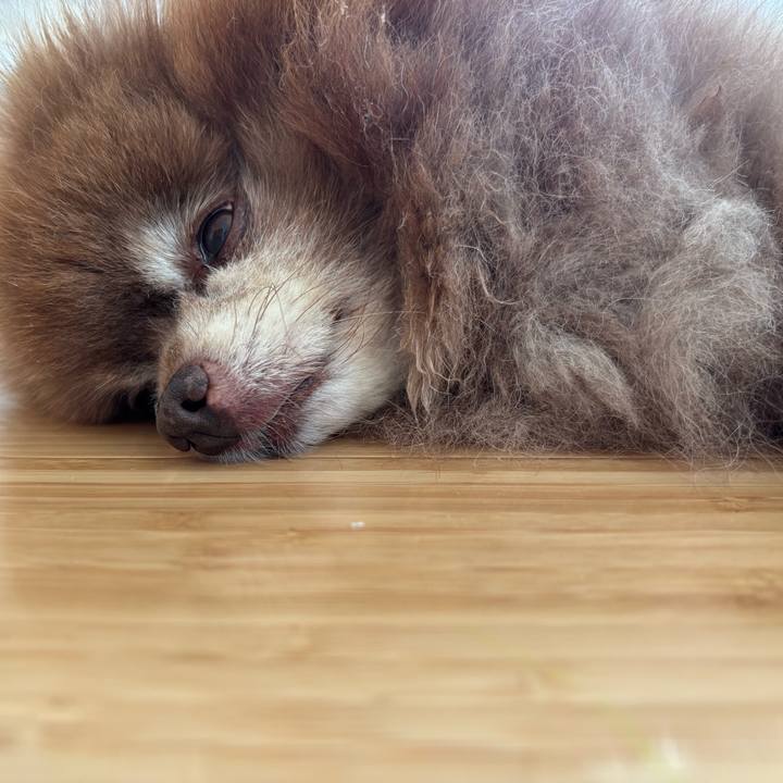 9f56d5a7 671d 408e bfb8 b6ebdbfe8fa1 1758418579661