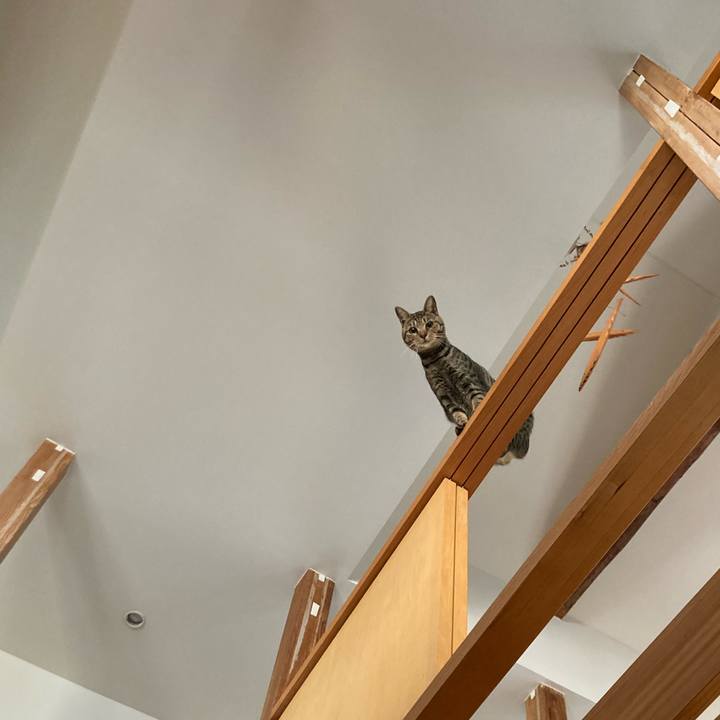 9f5743f2 6438 4bff bae5 7e087de10476 1683332179038