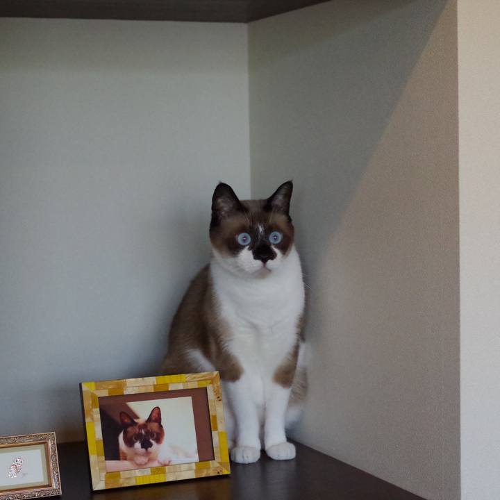 9f575fb3 8bbb 4713 aa69 98359fa975cc 1532330351180