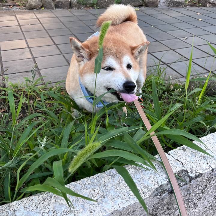 9f576c65 9c42 4fff a3e4 e49891378ec9 1720480396659