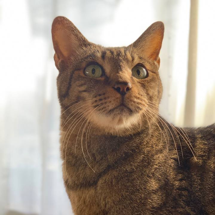 9f57860c 4686 4b3b b3cf f778ea3c7b14 1578099320727