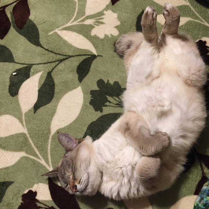 9f579831 7901 4876 a7b7 a2f36542bf9b 1587727120359